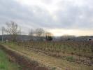 Vente Terrain Limoux  2500 m2