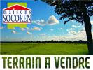 Vente Terrain Mouzeil  337 m2