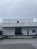Location Local commercial Bayonne  790 m2