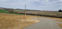 Vente Terrain Leboulin  2233 m2