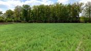 Vente Terrain Tilloy-lez-marchiennes  719 m2