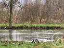 Vente Terrain Beaumerie-saint-martin 16000 m2