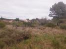 Vente Terrain Pignan  326 m2