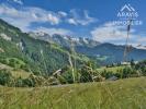 Vente Terrain Grand-bornand  6095 m2