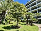 Vente Appartement Cannes BASSE CALIFORNIE 2 pieces 60 m2