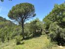 Vente Terrain Lorgues  11525 m2