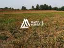 Vente Terrain Abscon  551 m2