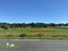 Vente Terrain Villeneuve-de-riviere  9100 m2