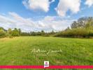 Vente Terrain Romorantin-lanthenay  10089 m2