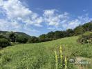 Vente Terrain Saint-sernin-du-bois  1636 m2