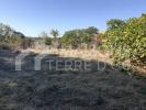 Vente Terrain Pompertuzat  550 m2