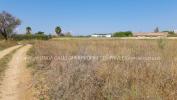 Vente Terrain Pezenas  9343 m2