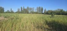 Vente Terrain Narbonne  6115 m2