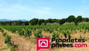 Vente Maison Vidauban  8 pieces 226 m2