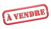 Vente Local commercial Chalonnes-sur-loire  53 m2