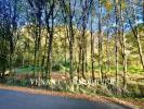 Vente Terrain Sarlat-la-caneda  3387 m2