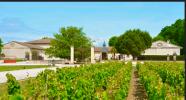 Vente Domaine agricole Saint-sauveur  10 pieces 32767 m2