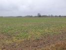 Vente Terrain Bellebat  600 m2