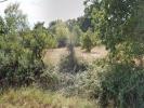 Vente Terrain Sainte-pazanne  400 m2