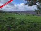 Vente Terrain Paulinet  1134 m2