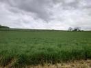 Vente Terrain Dieppe  5118 m2