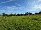 Vente Terrain Publier  1134 m2