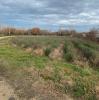 Vente Terrain Puygiron  400 m2