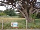 Vente Terrain Bernieres-sur-mer  495 m2