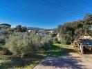 Vente Terrain Puget-sur-argens  460 m2