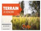 Vente Terrain Douvrin  984 m2