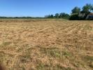 Vente Terrain Lande-de-fronsac  960 m2