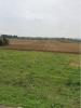 Vente Terrain Saint-xandre  310 m2