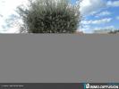 Vente Maison Aigues-mortes EN BORDURE DU CANAL 4 pieces 90 m2