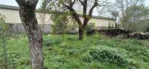 Vente Maison Charnay-les-chalon  6 pieces 168 m2