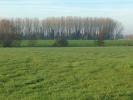 Vente Terrain Preux-au-sart  986 m2