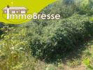 Vente Terrain Montrevel-en-bresse  1196 m2