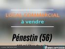 Vente Maison Penestin  110 m2