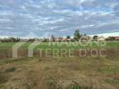 Vente Terrain Soreze  640 m2