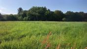 Vente Terrain Verneuil-sur-vienne  1003 m2