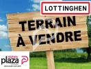 Vente Terrain Lottinghen  2000 m2