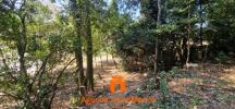 Vente Terrain Ancone MONTA�LIMAR 990 m2