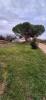 Vente Terrain Charmes-sur-rhone  493 m2