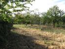 Vente Terrain Anche VALENCE-EN-POITOU 753 m2