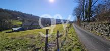 Vente Terrain Saint-etienne-de-carlat 