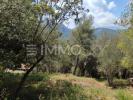 Vente Terrain Saint-martin-du-var  1026 m2