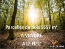 Vente Terrain Fieu  5755 m2