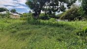 Vente Terrain Petit-canal  800 m2