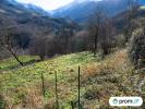 Vente Terrain Uchentein  20000 m2