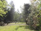 Vente Terrain Dampierre-en-yvelines  4646 m2