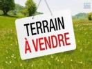 Vente Terrain Plaine-des-palmistes 